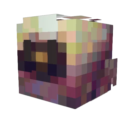 Jamezuse11 Minecraft avatar head, 3D render