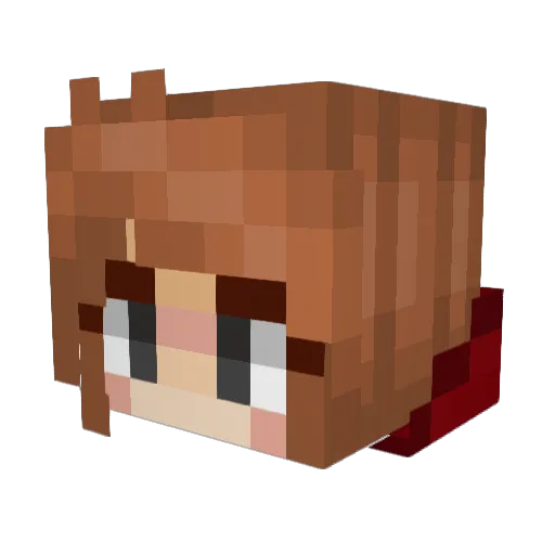 JamieTwonk Minecraft avatar head, 3D render