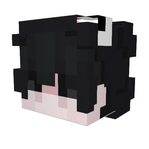 Jamie_95 Minecraft avatar head, 3D render