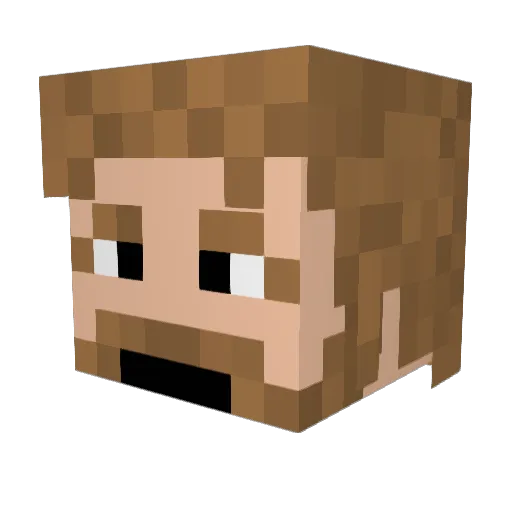 Jamie_Hairyhands Minecraft avatar head, 3D render