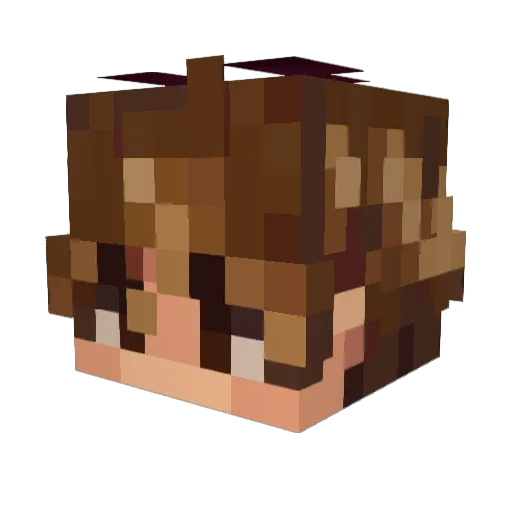 Jamie_Rose Minecraft avatar head, 3D render