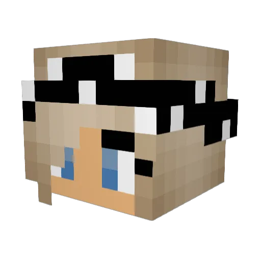 Jamieleigh2005 Minecraft avatar head, 3D render