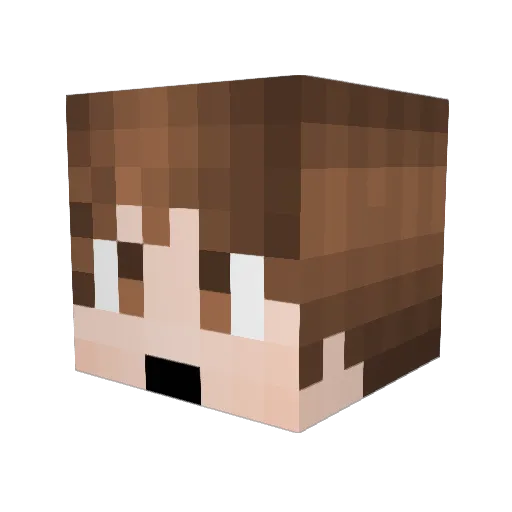 Jamiemartin16 Minecraft avatar head, 3D render