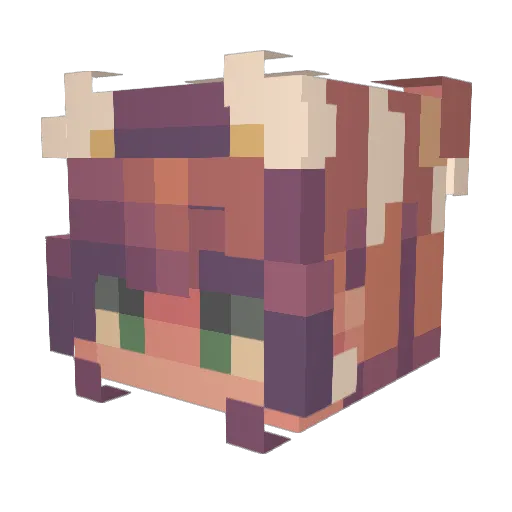 Jamila011 Minecraft avatar head, 3D render