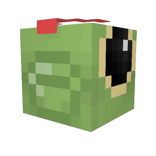 Jamin007 Minecraft avatar head, 3D render