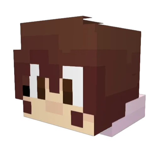 Jaminout_ Minecraft avatar head, 3D render