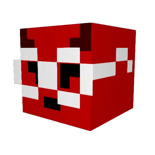 Jammer_XD Minecraft avatar head, 3D render