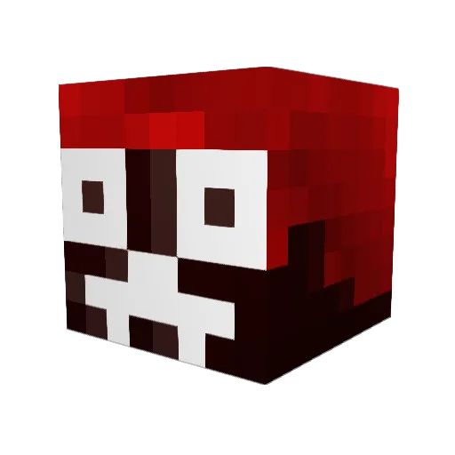 Jammerotard Minecraft avatar head, 3D render