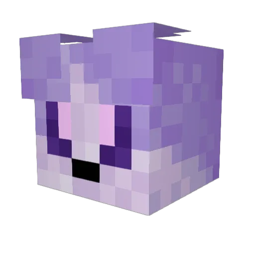 Jammin_JD Minecraft avatar head, 3D render