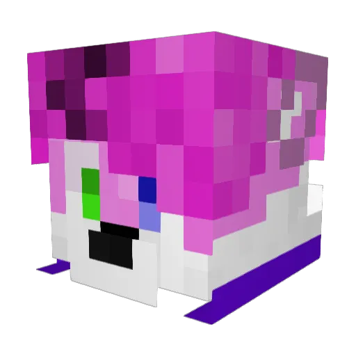 JammyTheKittyFox Minecraft avatar head, 3D render