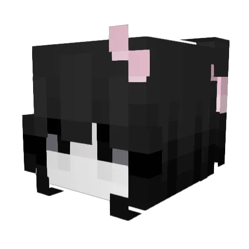 Jammyjamjar Minecraft avatar head, 3D render