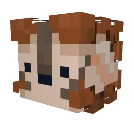 JamnEXE Minecraft avatar head, 3D render