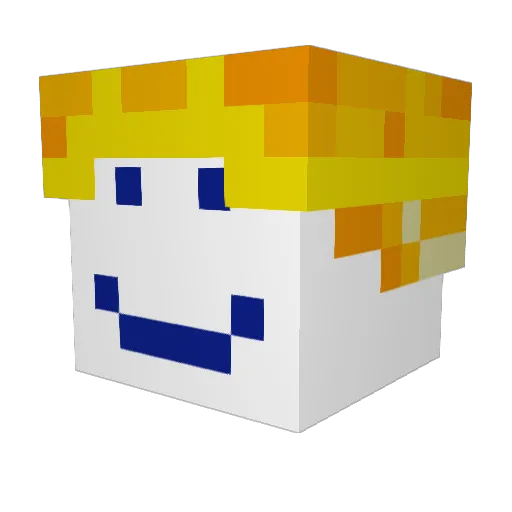 Jamnagar Minecraft avatar head, 3D render