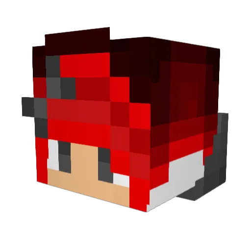 Jams1989 Minecraft avatar head, 3D render