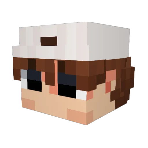 JamsToaster Minecraft avatar head, 3D render