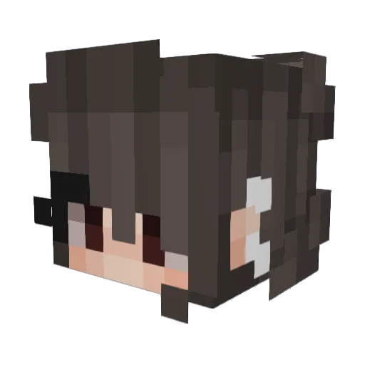 Jams_13 Minecraft avatar head, 3D render