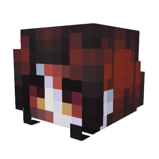 Jamss67 Minecraft avatar head, 3D render