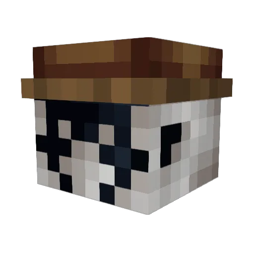 Jamsterslam Minecraft avatar head, 3D render