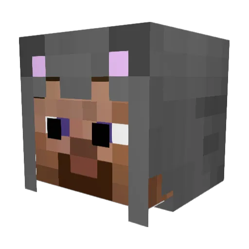 JamwondongCurry Minecraft avatar head, 3D render