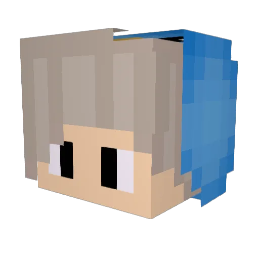 Jamy1019 Minecraft avatar head, 3D render