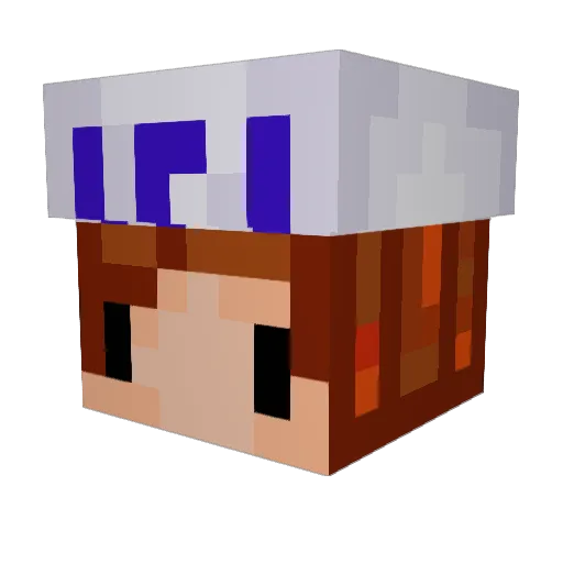 Jamza1092 Minecraft avatar head, 3D render