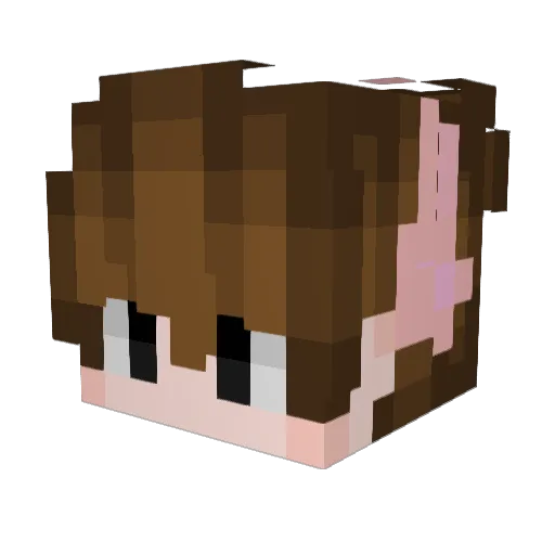 Jan1098 Minecraft avatar head, 3D render