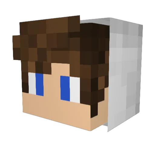 Jan110110 Minecraft avatar head, 3D render
