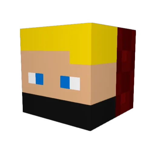 Jan1111 Minecraft avatar head, 3D render