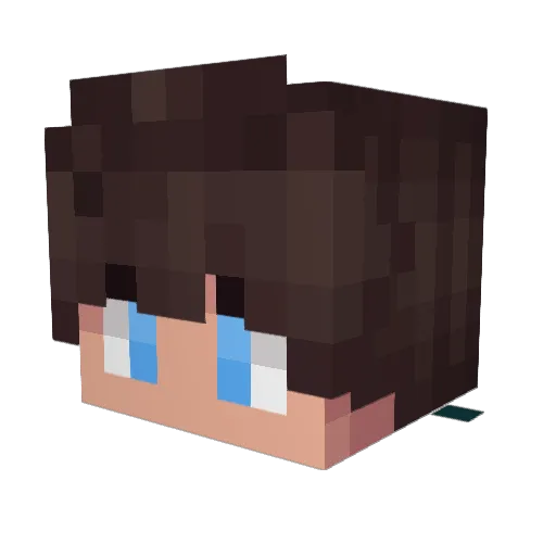 Jan1exel Minecraft avatar head, 3D render