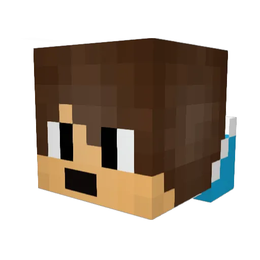 Jan209 Minecraft avatar head, 3D render
