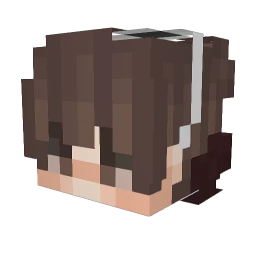 Jan330 Minecraft avatar head, 3D render