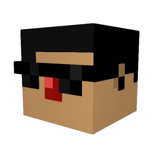 JanEri Minecraft avatar head, 3D render