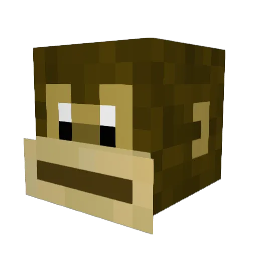 JanGHG1508 Minecraft avatar head, 3D render