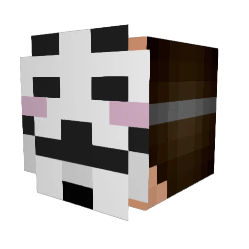 JanGamer12 Minecraft avatar head, 3D render