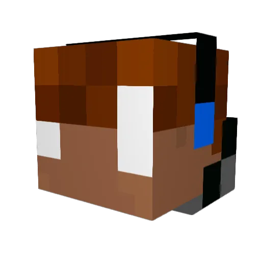 JanK981111111111 Minecraft avatar head, 3D render