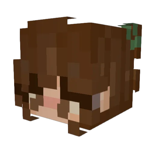 JanNatalka Minecraft avatar head, 3D render