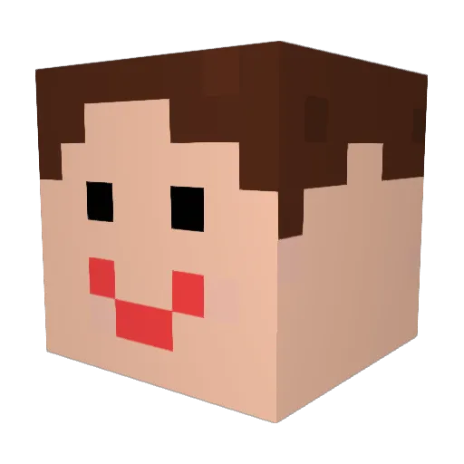 JanNikName Minecraft avatar head, 3D render