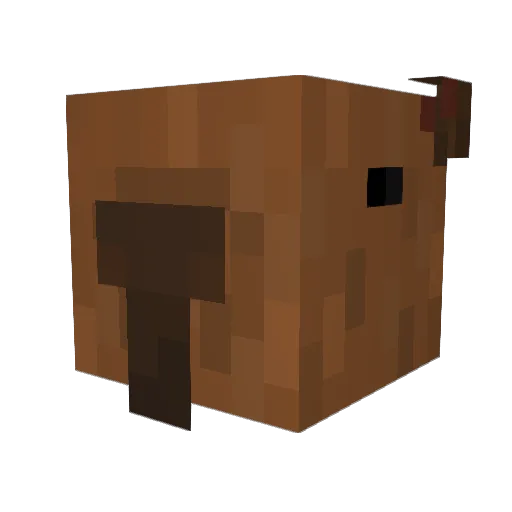 JanNoKra Minecraft avatar head, 3D render
