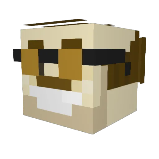 JanRo99 Minecraft avatar head, 3D render