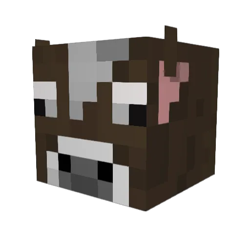 JanS0lo Minecraft avatar head, 3D render