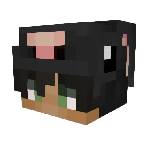 JanSteltner Minecraft avatar head, 3D render