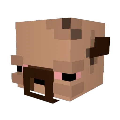 JanZonPonLaMinet Minecraft avatar head, 3D render