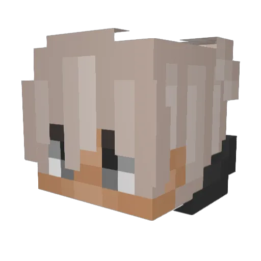 Jan_rep Minecraft avatar head, 3D render
