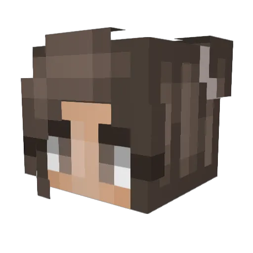 Jana5793 Minecraft avatar head, 3D render