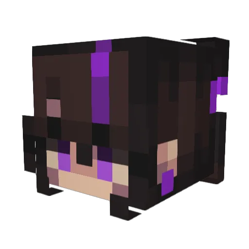 Jana903 Minecraft avatar head, 3D render