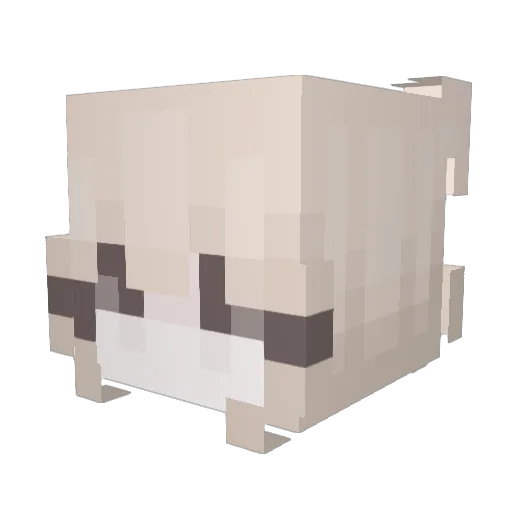 Jana Minecraft avatar head, 3D render