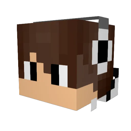 JanaIceTea Minecraft avatar head, 3D render