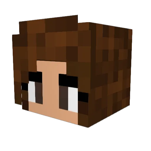 JanaNope Minecraft avatar head, 3D render