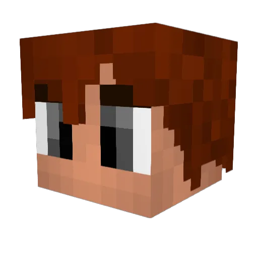 JanaTheHero Minecraft avatar head, 3D render