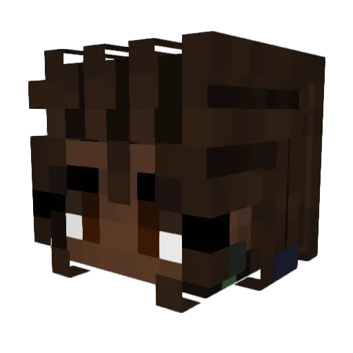 Janaaye Minecraft avatar head, 3D render